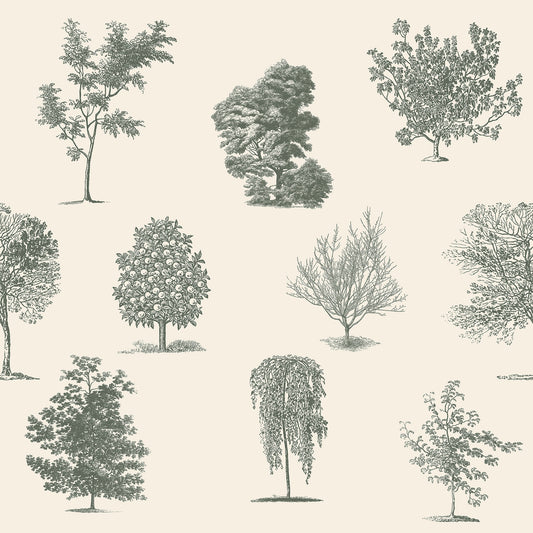 Evergreen Wallpaper Tree Light Green  Design