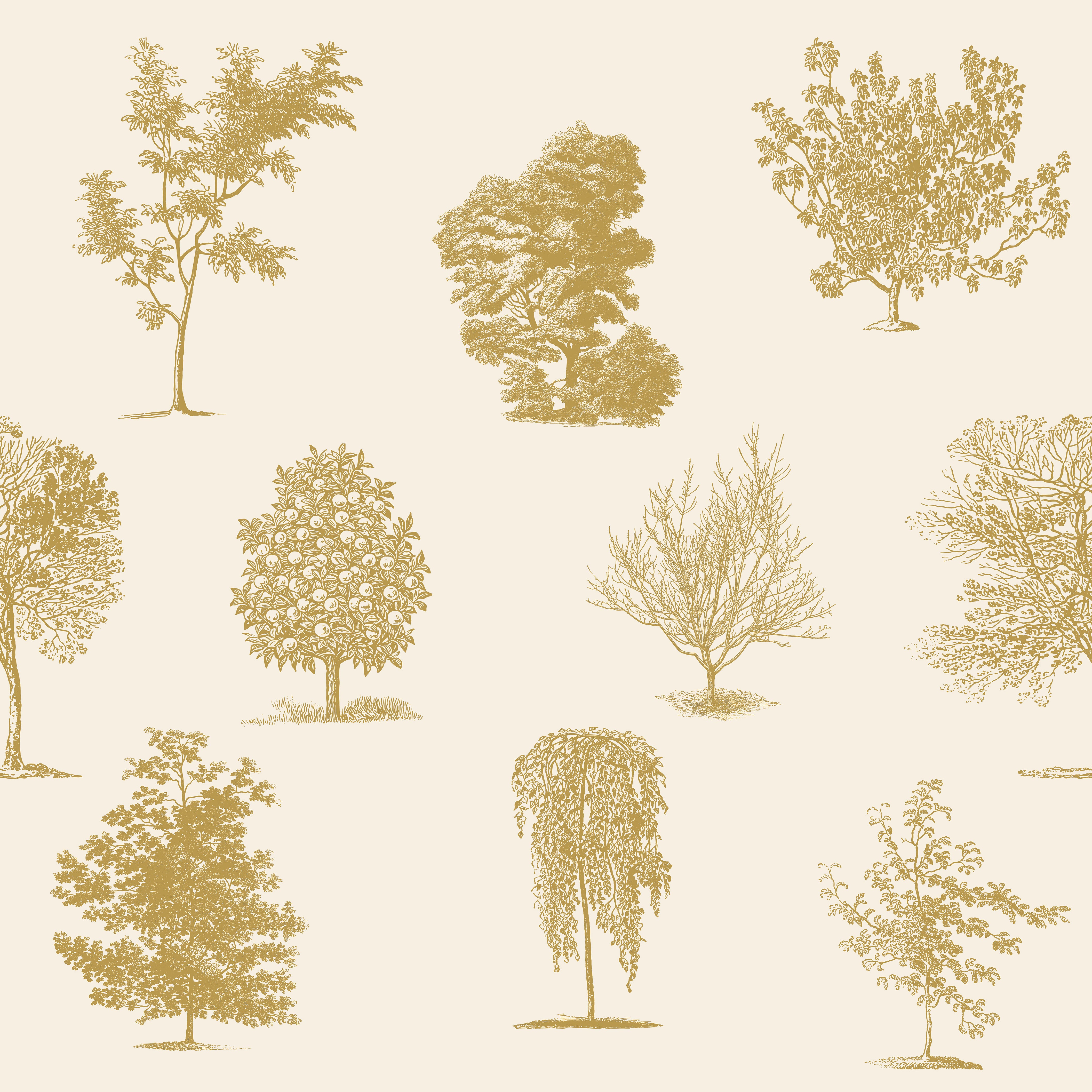 Evergreen Mustard Wallpaper Tree Light Yellow Design