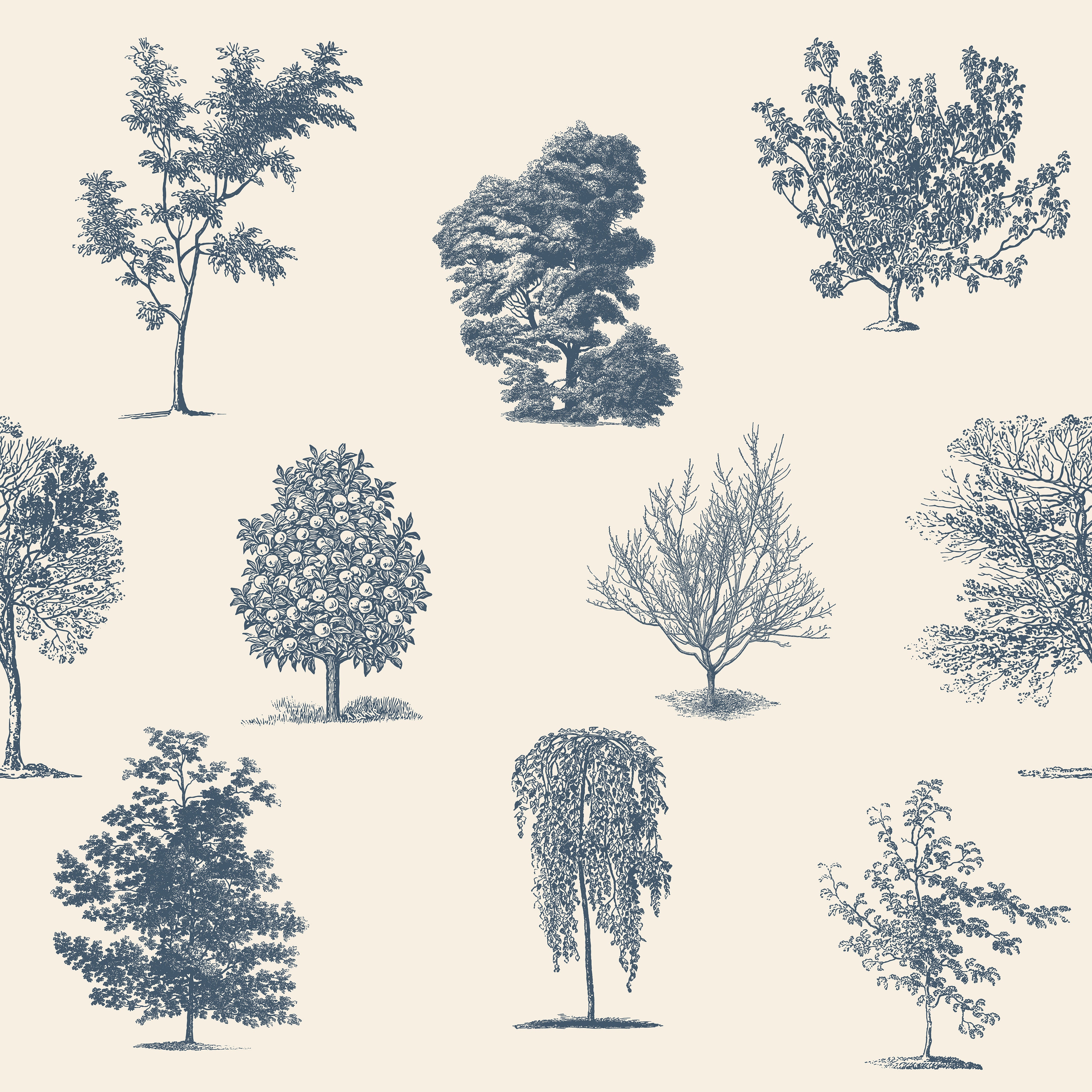Evergreen Royal Blue Wallpaper Tree Light Yellow Design