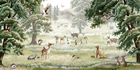 Forest_Fun_Wallpaper_Mural_Artwork