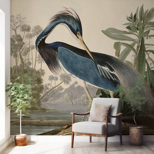 Louisiana Heron Wallpaper In White Room With Grey Chair With A Couple Of Green Plants