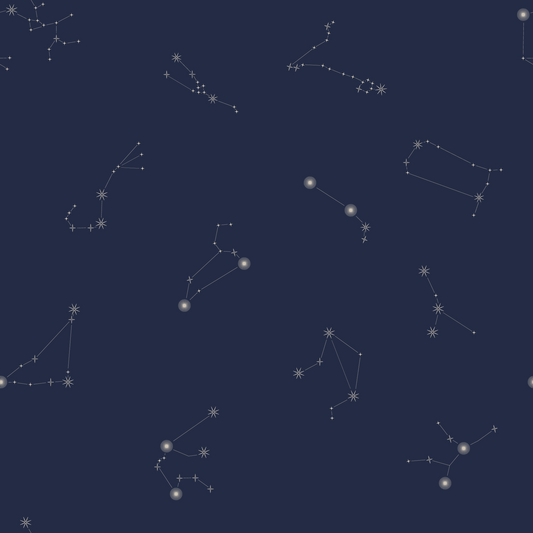 Nocturnal_Constellations_Blue_Wallpaper_Mural_Artwork