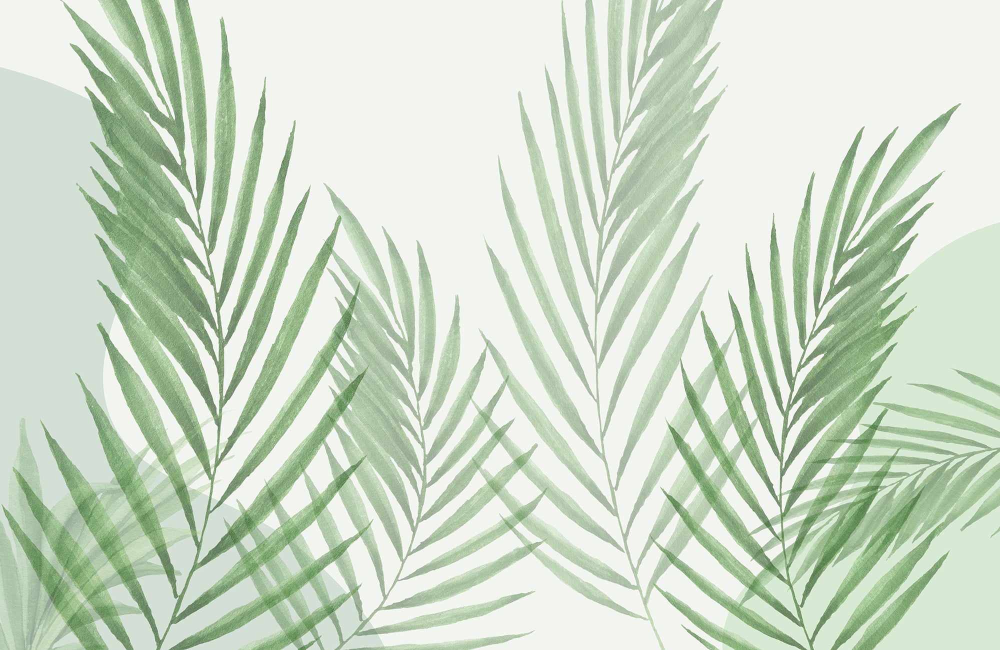 Raffia_Green_Wallpaper_Mural_Artwork