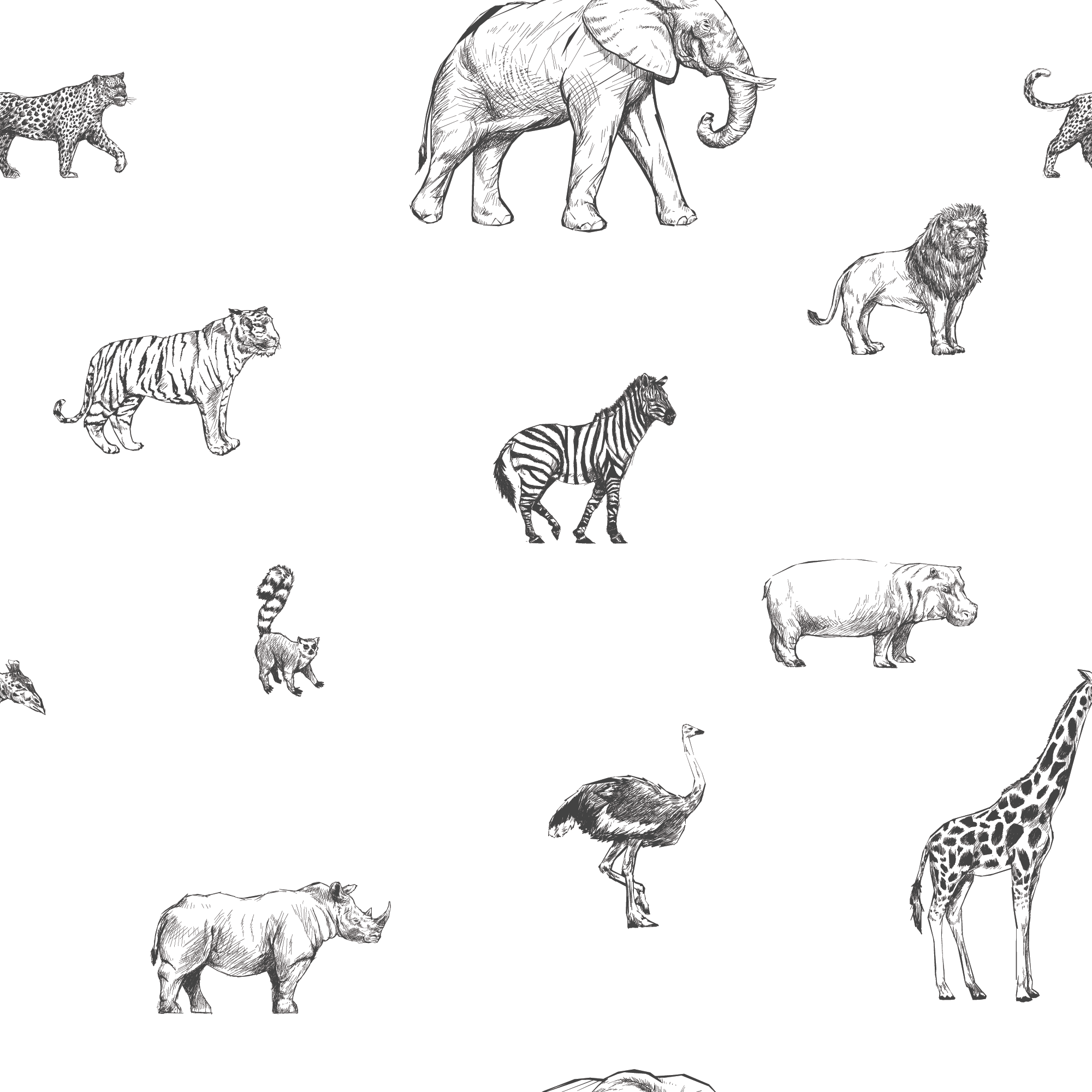 Safari_Sketchbook_Black_Wallpaper_Mural_Artwork