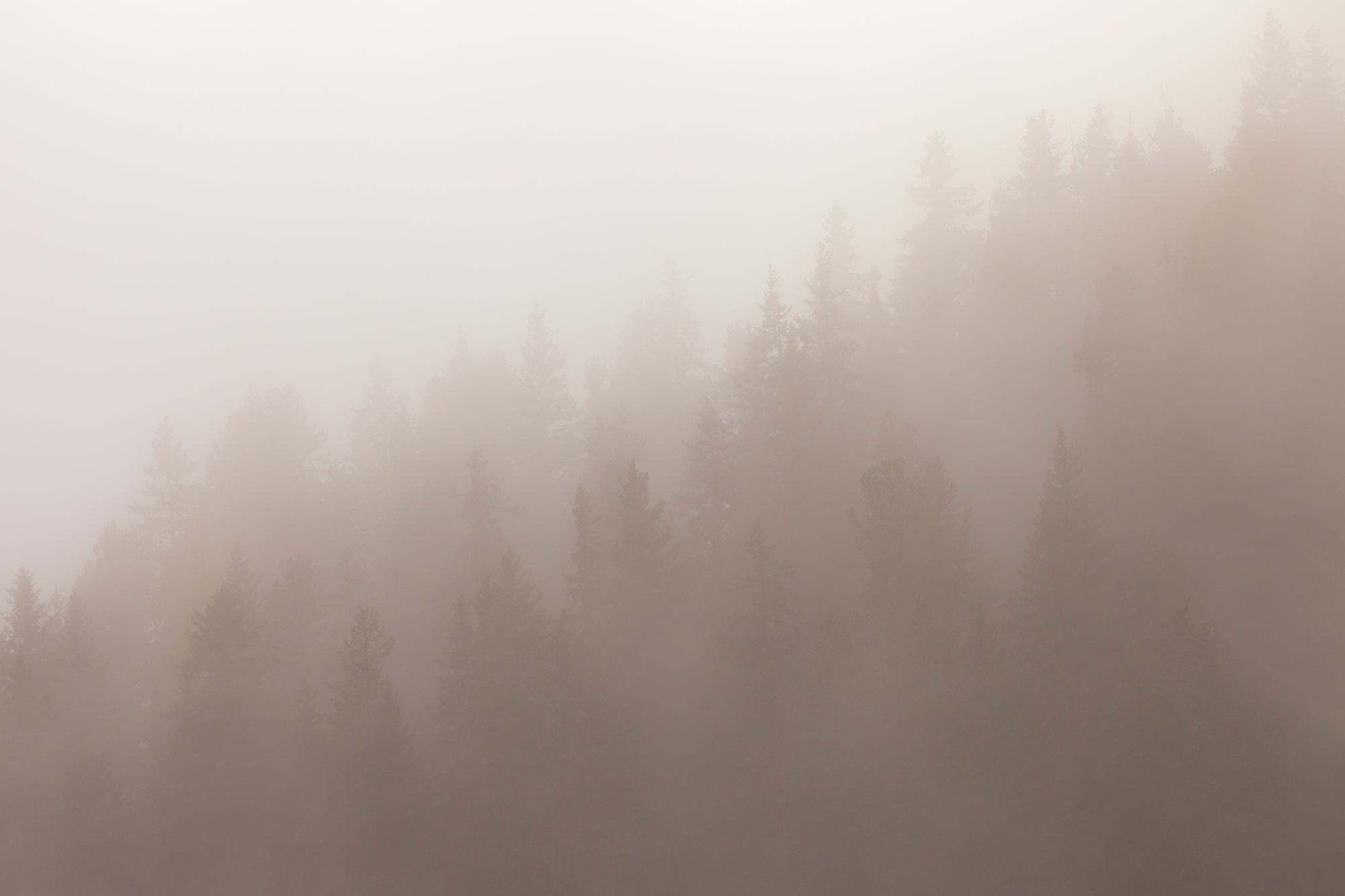 Sepia_Serenity_Heights_Wallpaper_Mural_Artwork