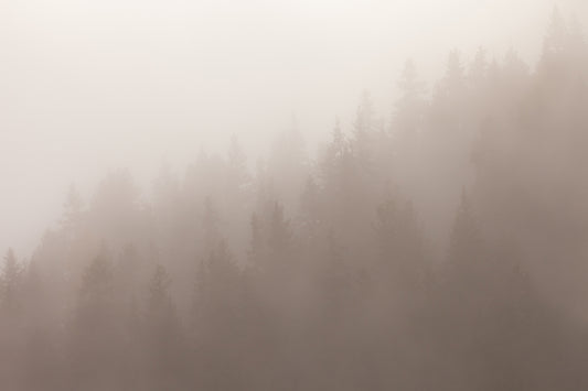 Sepia_Serenity_Heights_Wallpaper_Mural_Artwork