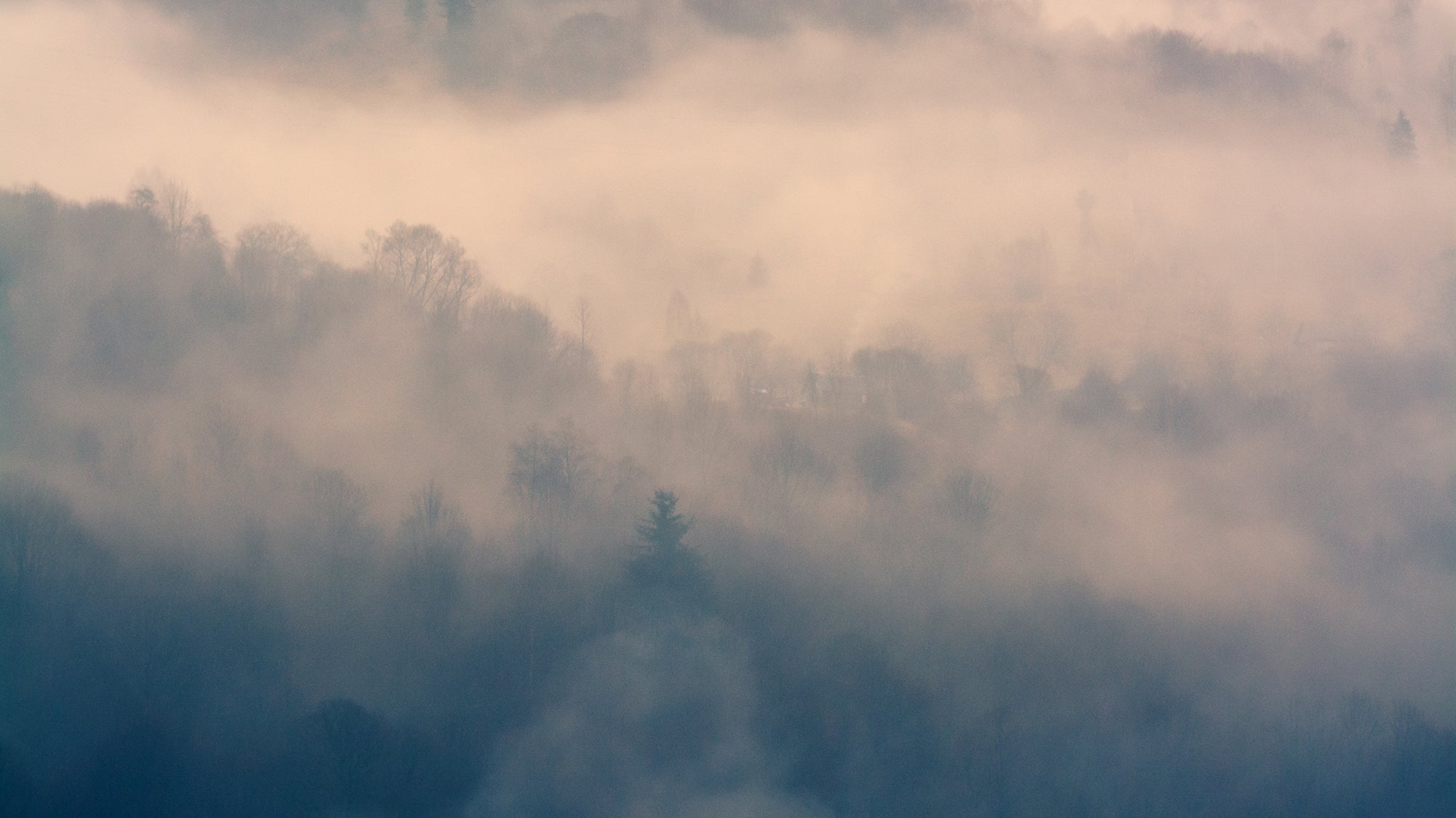 Twilight_Mist_Retreat_Wallpaper_Mural_Artwork