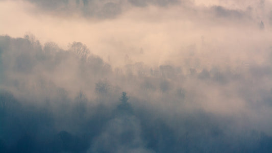 Twilight_Mist_Retreat_Wallpaper_Mural_Artwork