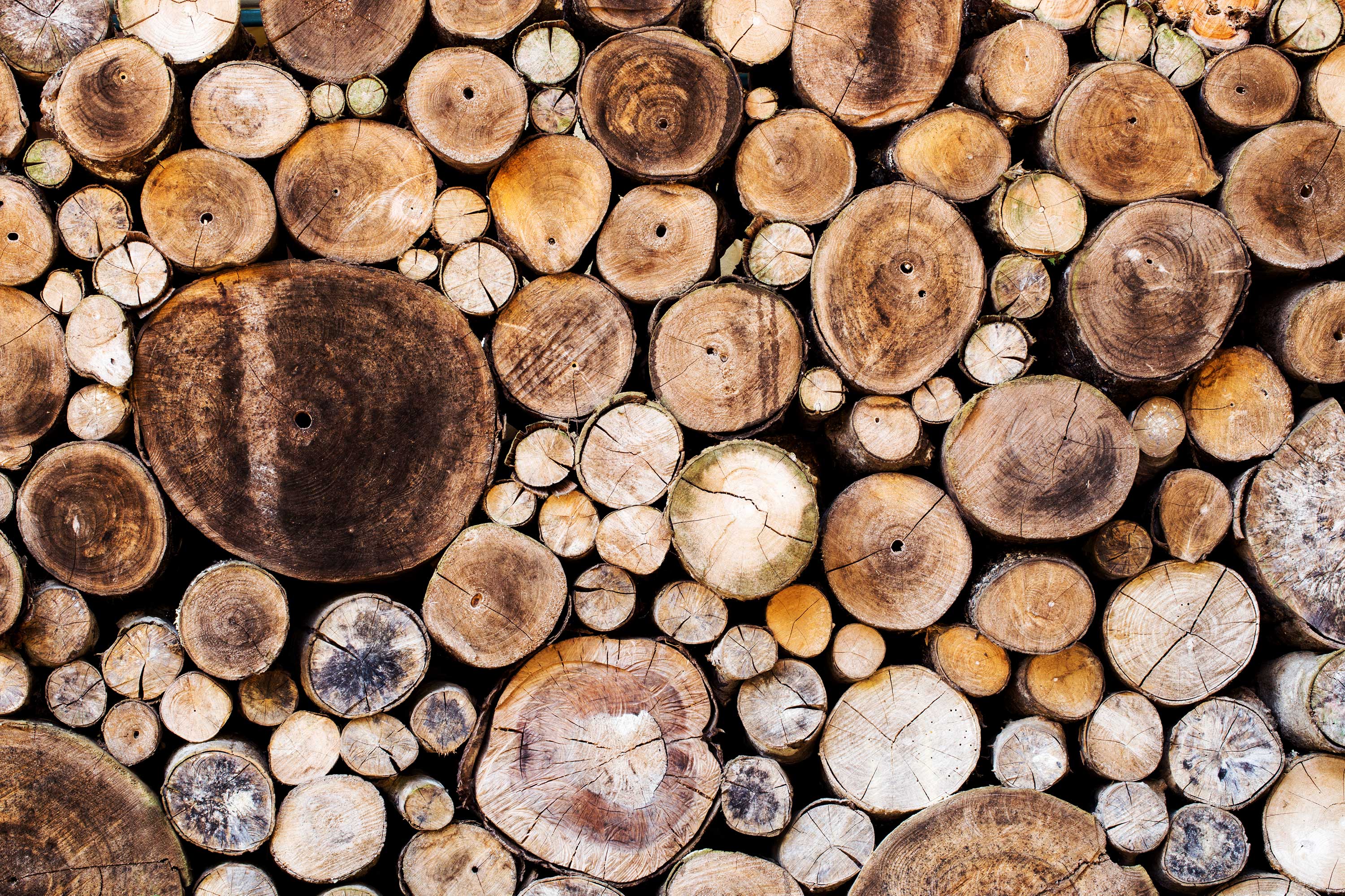 Acton sawn wood wallpaper mural | WallpaperMural.com