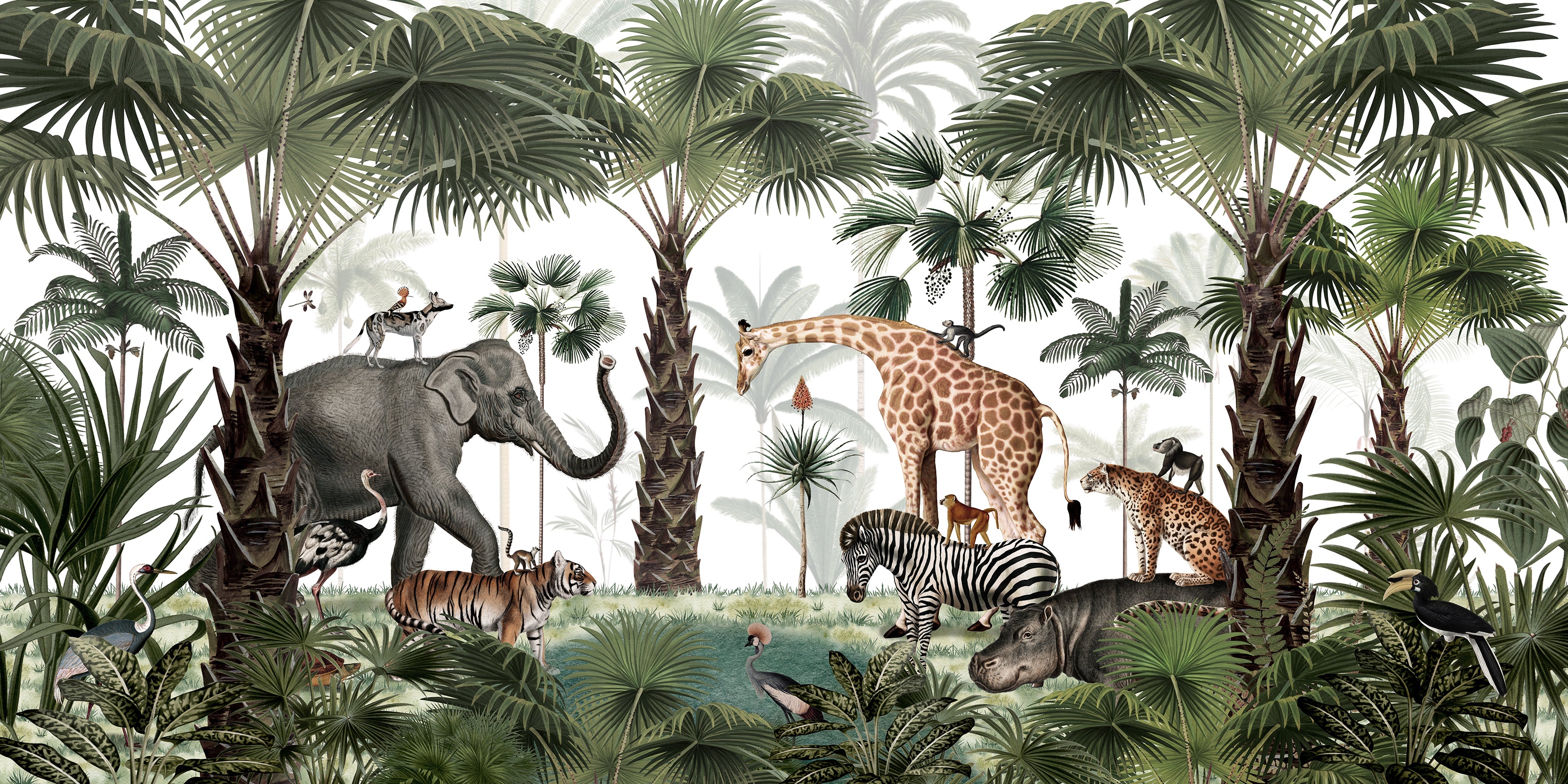 Animal Kingdom Full Artwork