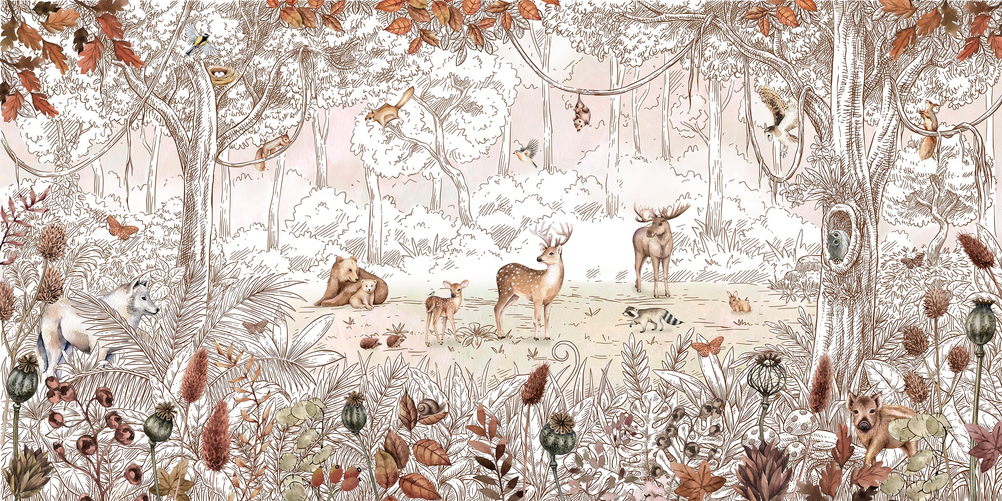 Birch Autumn Full Artwork