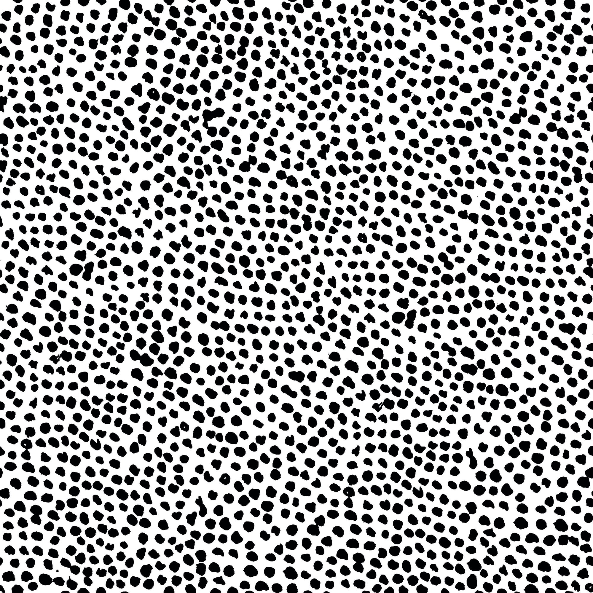 Dalmatian Wallpaper Mural  | WallpaperMural.com
