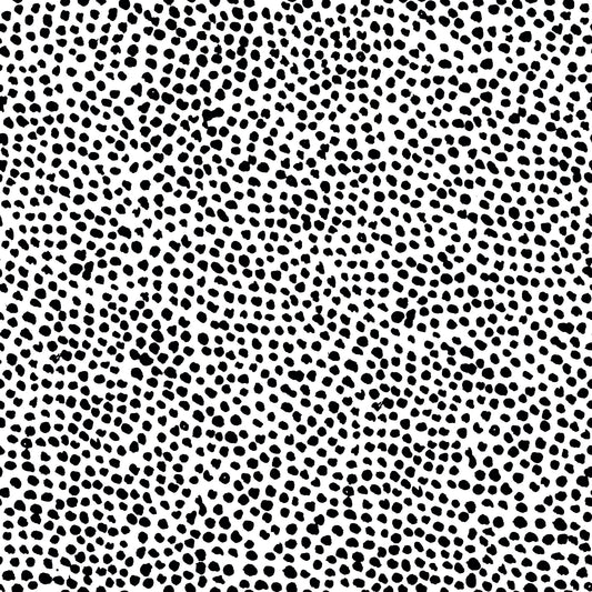 Dalmatian Wallpaper Mural  | WallpaperMural.com