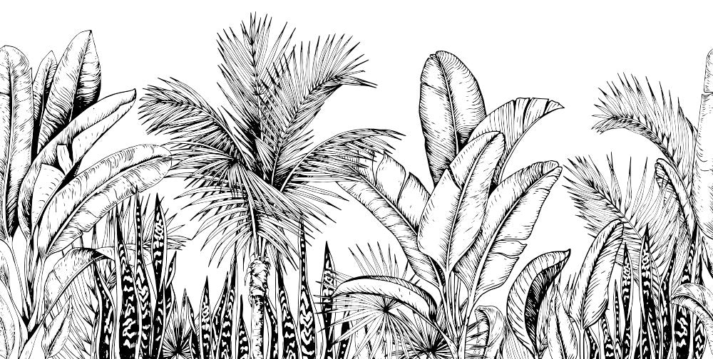 Evre Black and White palm tree  wallpaper mural  | WallpaperMural.com