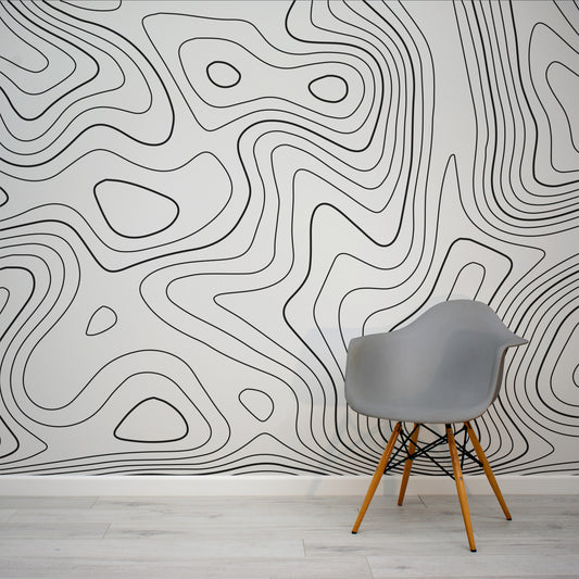 Inglans - Papier Peint Fresque Tourbillons Noir & Blanc