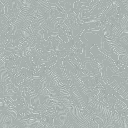 Excond - Papier Peint Fresque Lignes de Contour Grises et Noires