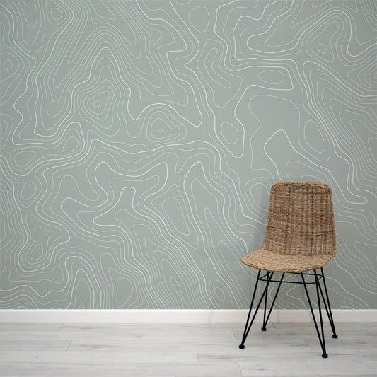 Excond - Papier Peint Fresque Lignes de Contour Grises et Noires