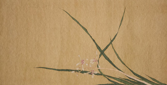 Orchid Full Artwork