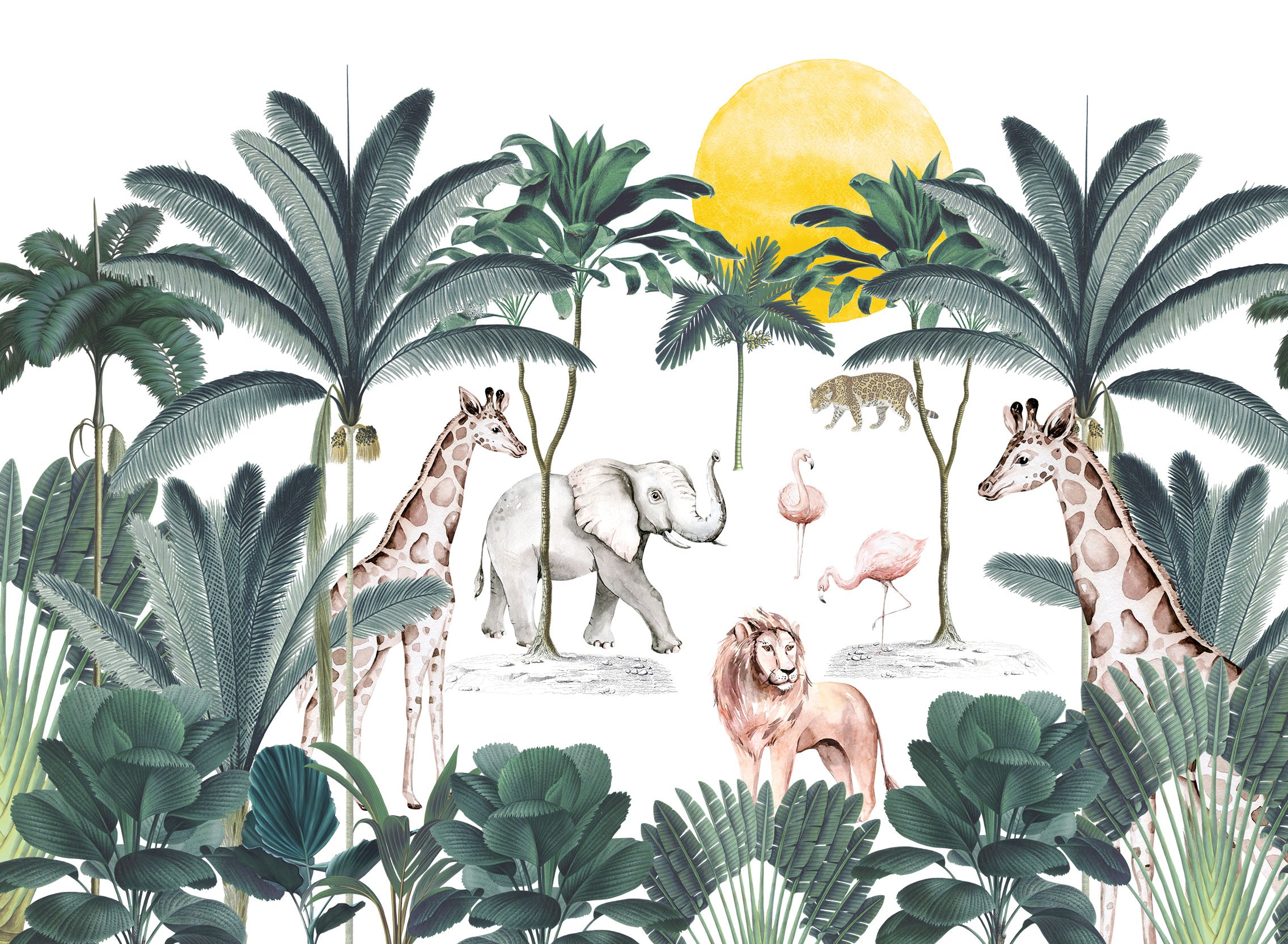 Children's Jungle Wallpaper Mural Available from WallpaperMural.com