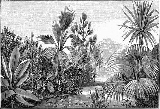 The_Tropics_Wallpaper_Mural_Artwork