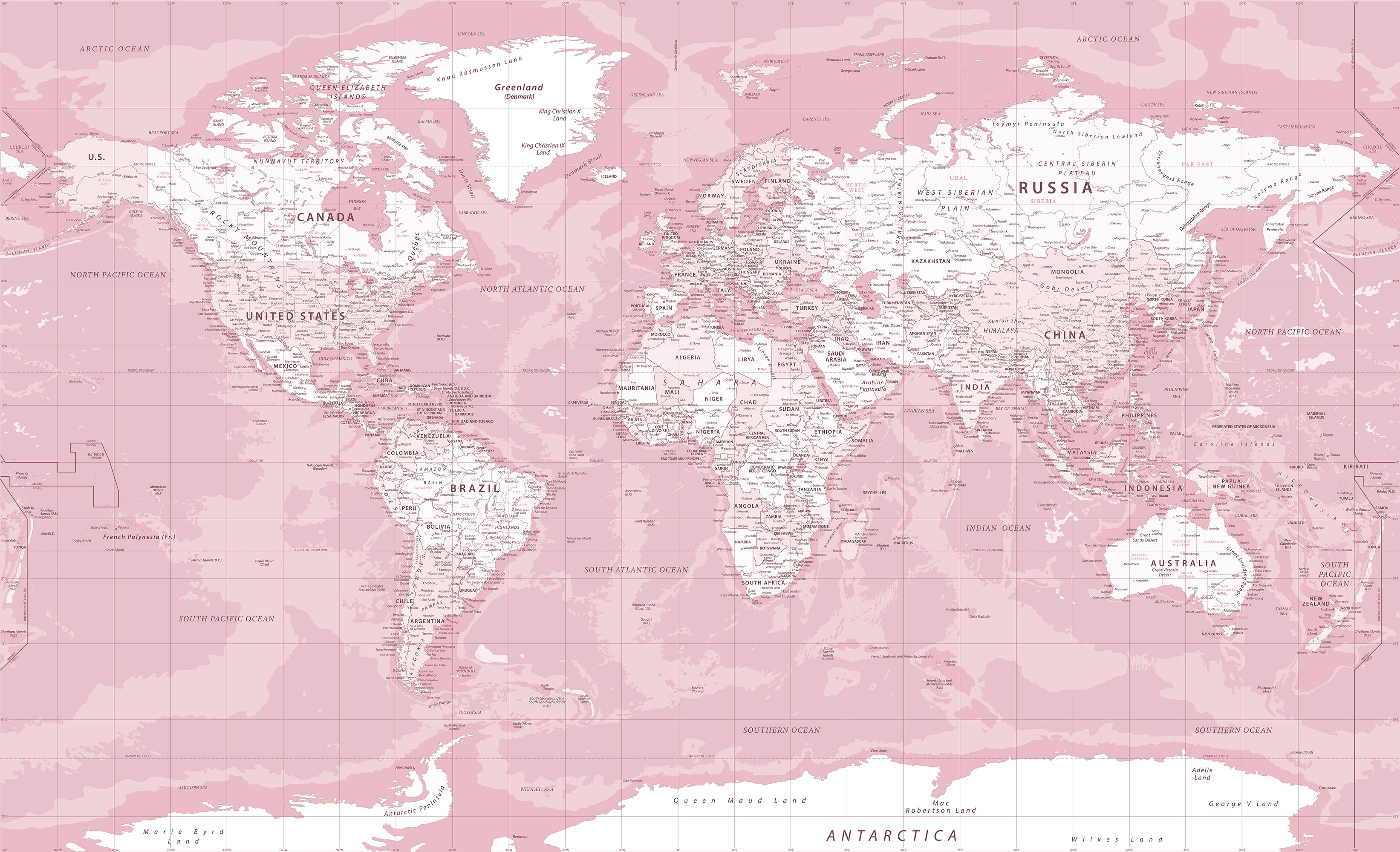 Pink World Map - Pink World Map Wallpaper Mural