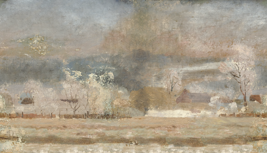 Wintery landscape with bare trees and a misty sky