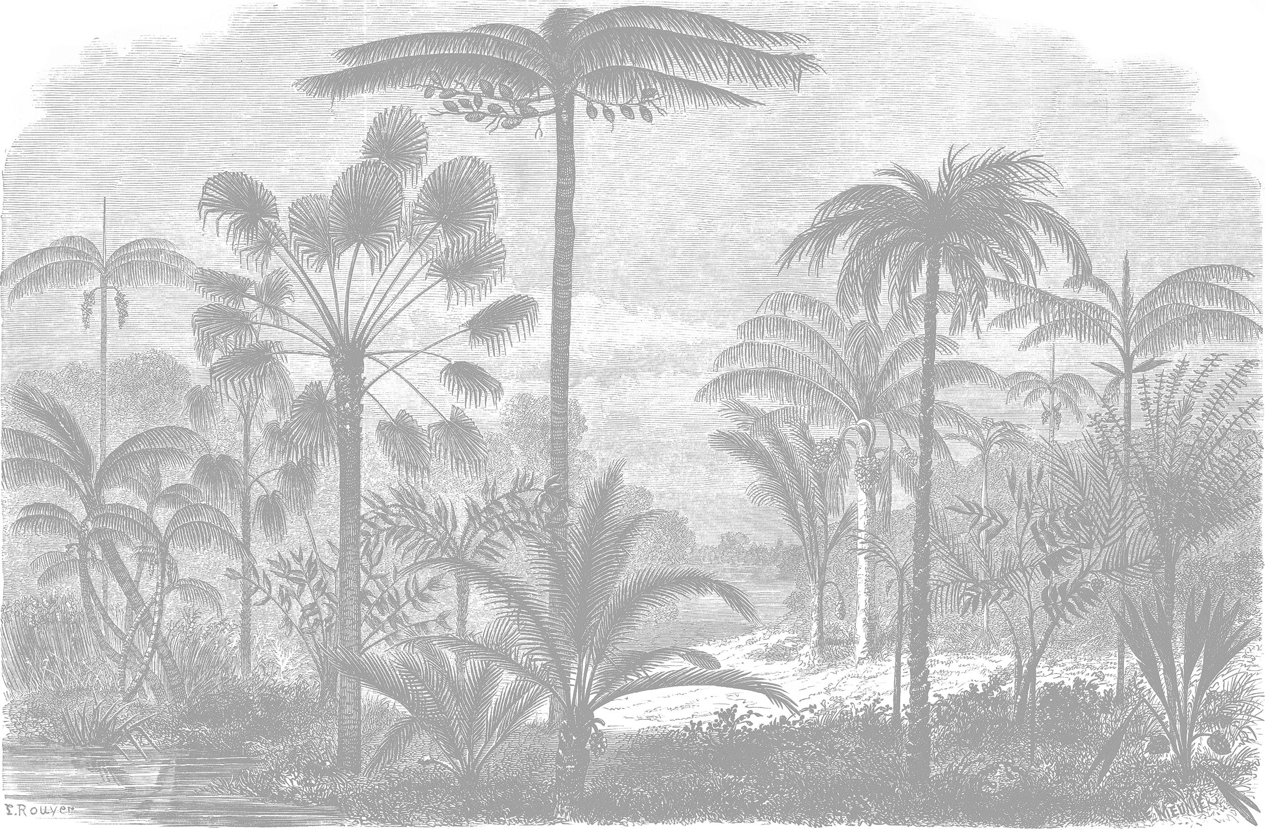 Arthur Grise - Papier Peint Gravure Tropicale Vintage Grise