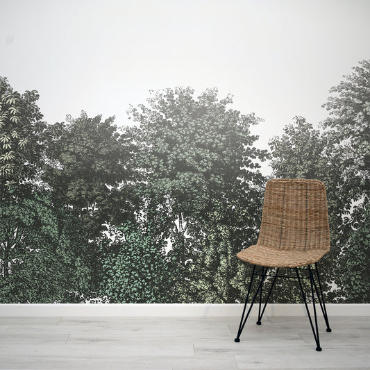 Deciduous Summer - Green Panoramic Etched Trees Scene Wallpaper Mural with Rattan Chair