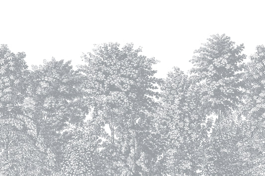 Deciduous Grey - Slate Grey Panoramic Etched Trees Scene Wallpaper Mural Full Artwork