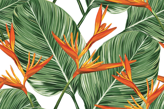 Kala - Papier Peint Illustration Aquarelle Tropicale Verte