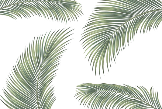 Kona - Papier Peint Panoramique Palmier Tropical